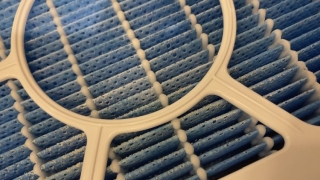 Thumbnail of post image 051